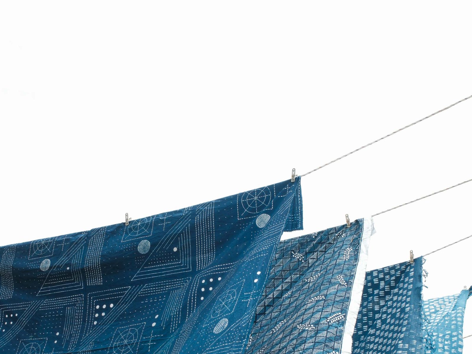 Tinctori: Pewarna Alami Ramah Lingkungan yang Lestari